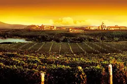 明星们都在用的品牌，烈酒品评赛大奖揭晓：蓬莱跻身葡萄酒贵族产区