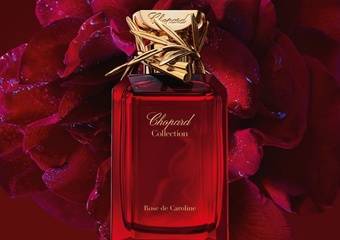 CHOPARD 萧邦卡罗琳玫瑰花园淡香精香水限量推出