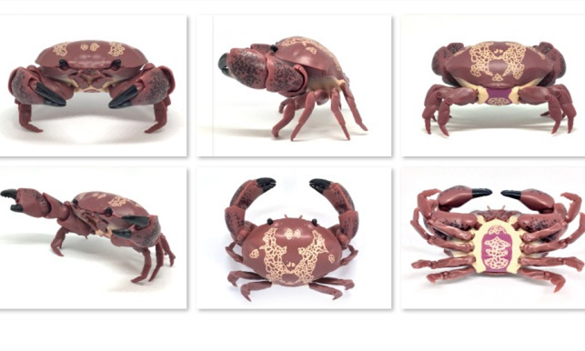 GASHAPON 生物图鉴 甲壳类第一弹「螃蟹」超拟真环保扭蛋