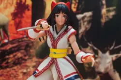 STORM COLLECTIBLES《侍魂 晓》娜可露露